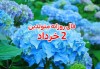فال حافظ | 2 خرداد 1401 | با تفسیر دقیق